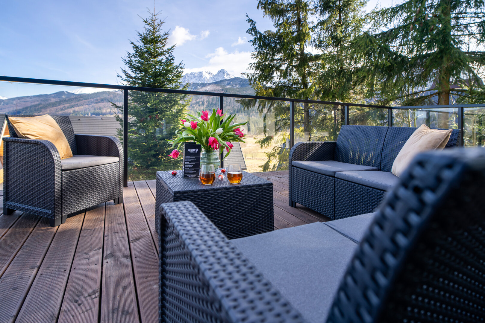 Apartament Widokowe Polany