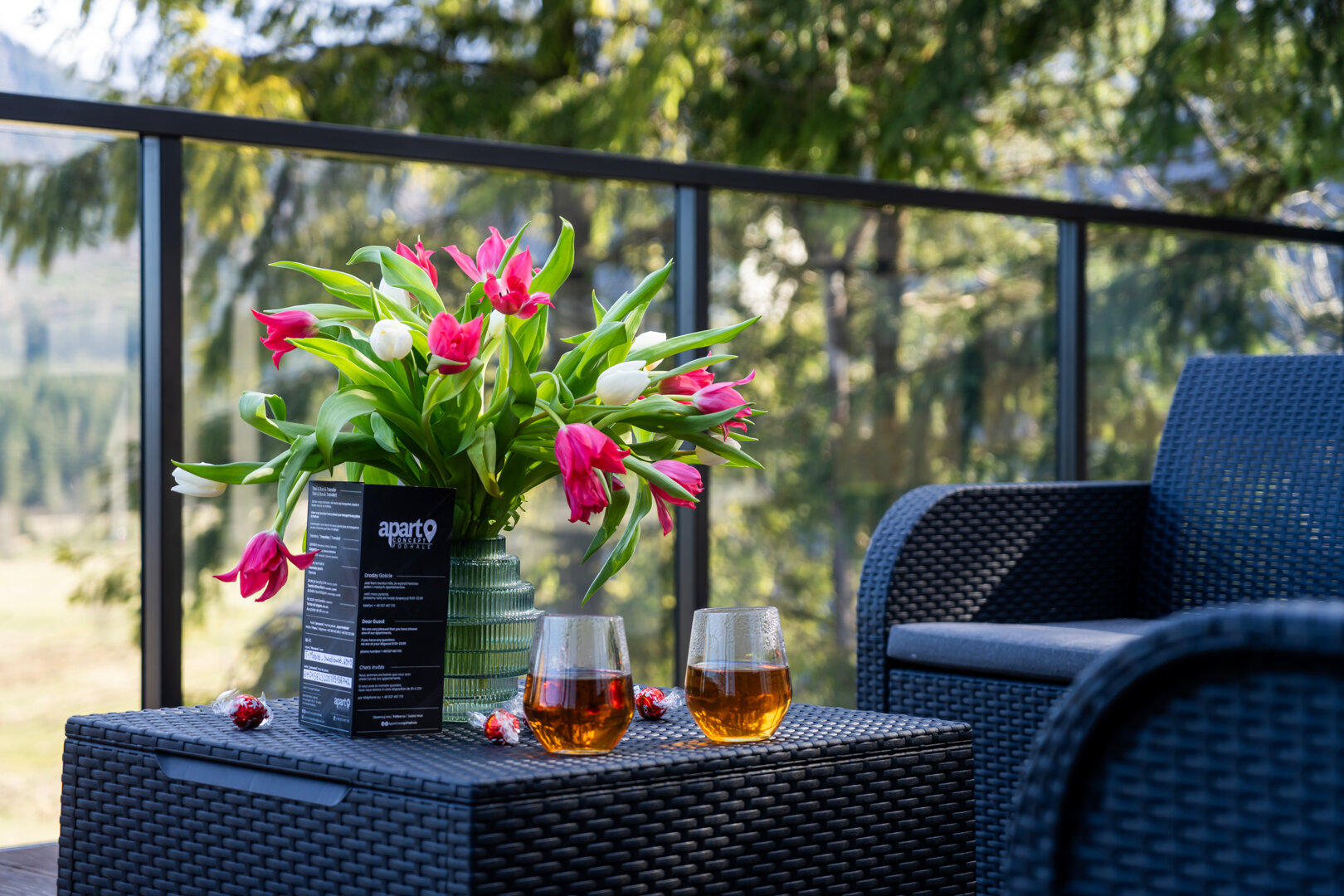 Apartament Widokowe Polany