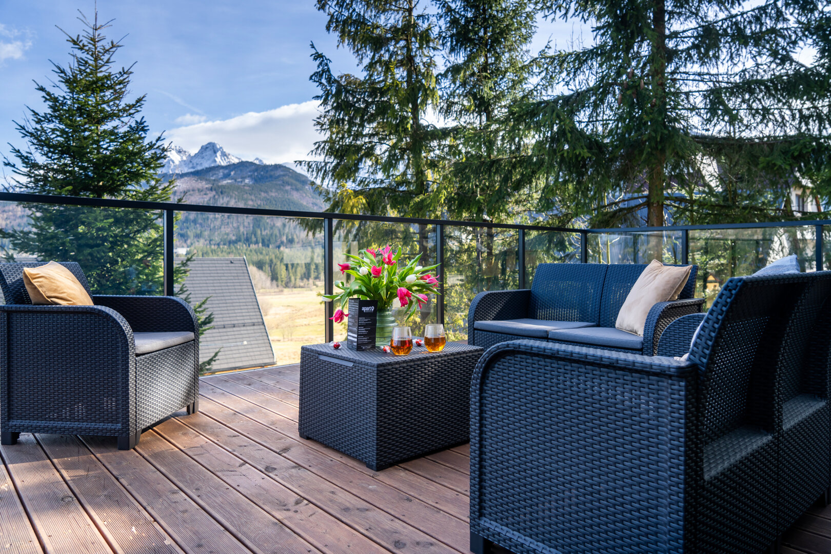 Apartament Widokowe Polany