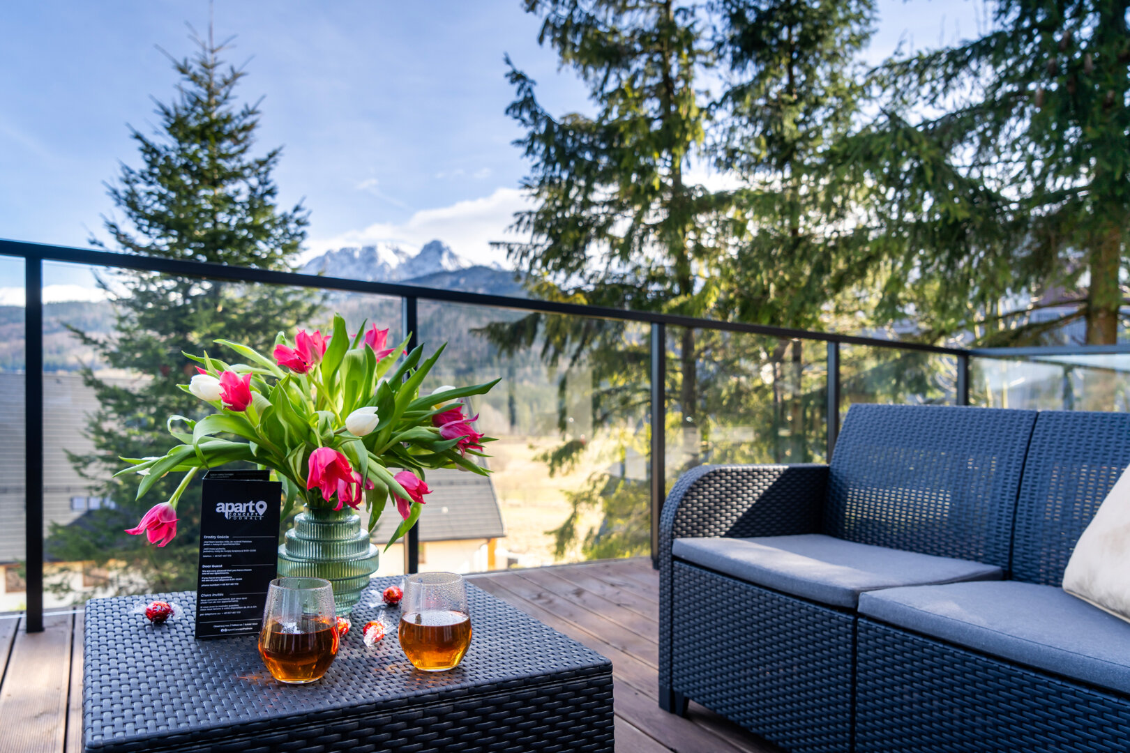 Apartament Widokowe Polany