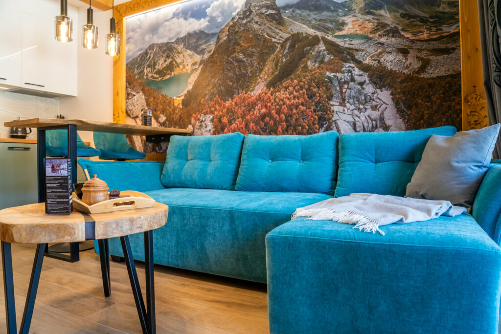 Apartament Euphoria Mountains