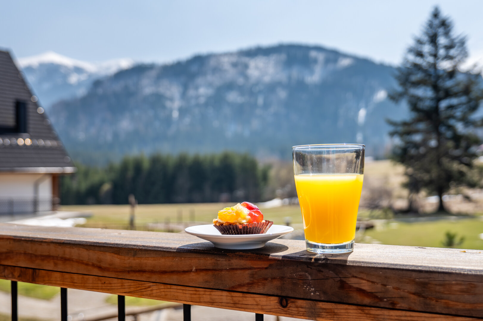 Apartament Moutain mood